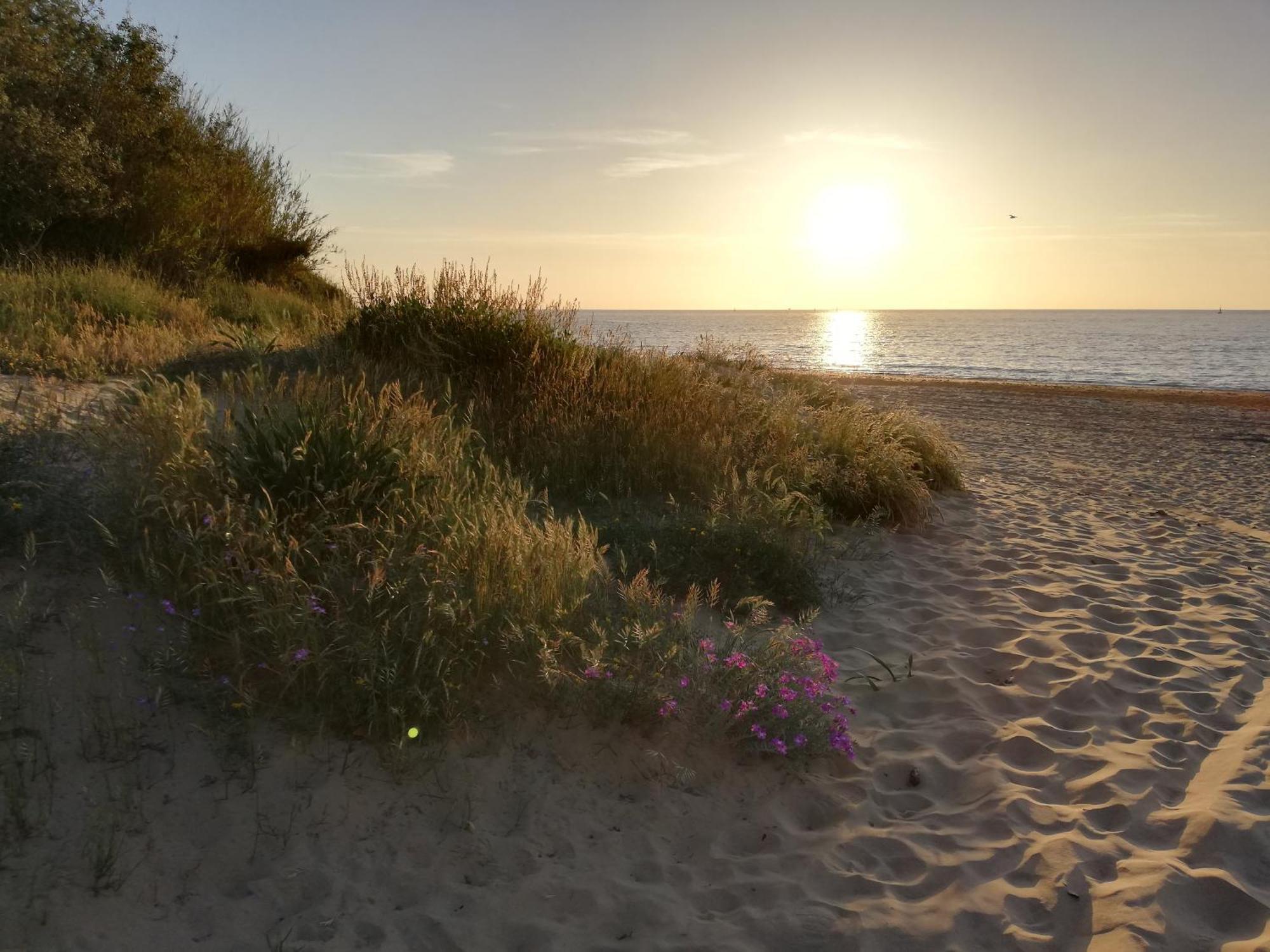 Moderno Apartamento Junto A La Playa Sanlúcar de Barrameda Екстериор снимка